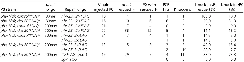 Table 2 cku-80 RNAi results in increased knock-in efﬁciency