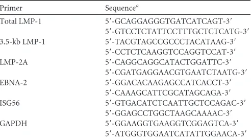 TABLE 1 Primers used in real-time RT-PCR