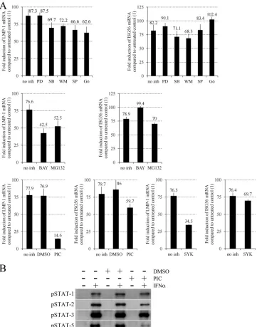FIG 2 Speciﬁc inhibition of IFN-of LMP-1 and ISG56 mRNA expression normalized to GAPDH, quantiﬁed by real-time RT-PCR in Daudi cells preincubated for 45 min without inhibitor (noinh) or with 10panels) and then left untreated or treated with 20 ng/ml IFN-�-