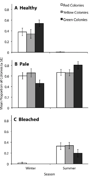 Figure 4.3 Mean proportion (±SE) of healthy, pale and bleached A. milleporacolonies, by colour, in August 2008 (winter) and March 2009 (summer) in the Lizard Island Group