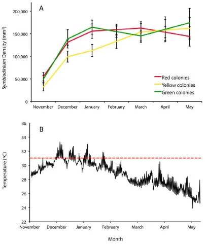 Fig. 3.6  Temporal patterns in A) SymbiodiniumBay throughout the sampling period (November 2007 to May 2008).data represent daily midday average temperature readings acquired from two temperature loggers placed adjacent to tagged colonies