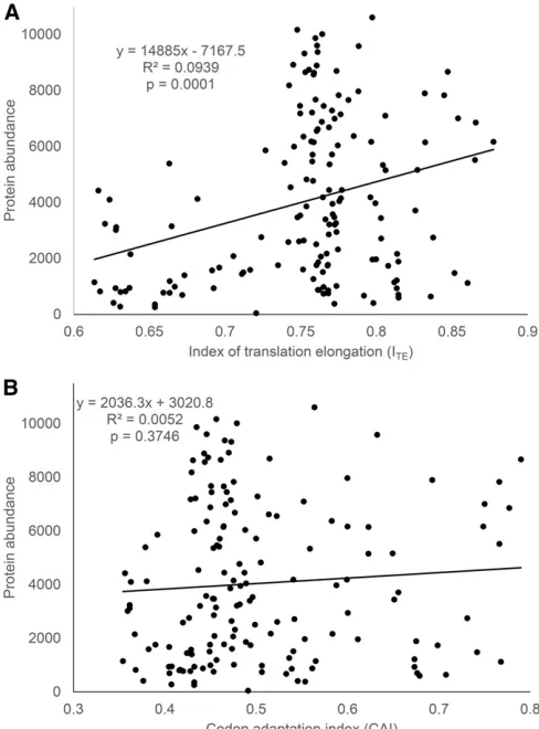 Figure 1 Relationship between protein abundance (measured by GFPnormalizedlation elongation ef ﬂuorescence; data kindly provided by Dr