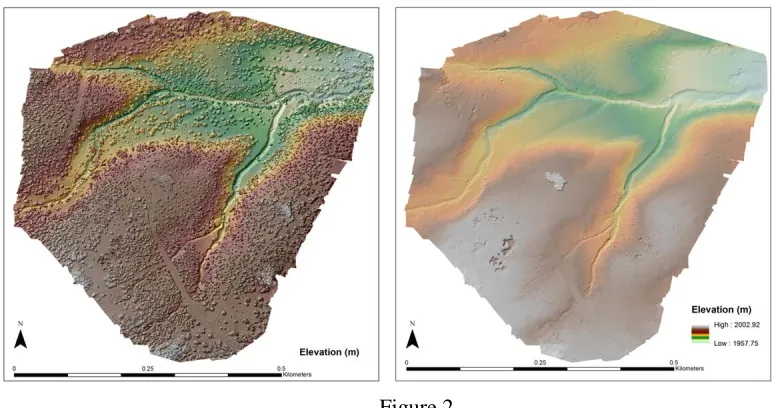 Figure 1 Idealized camera positions to capture vegetation and ground surface geometries