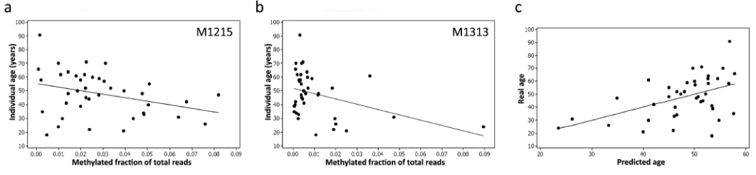 Figure by minimum While  levels  methylation are and   atgene maximum RNA  54 12S the  CpG within levels range  sites sites are  bars