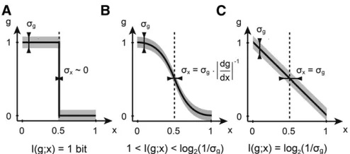 Figure 1 Positional information encoded by a single gene. Shown areon and off domains