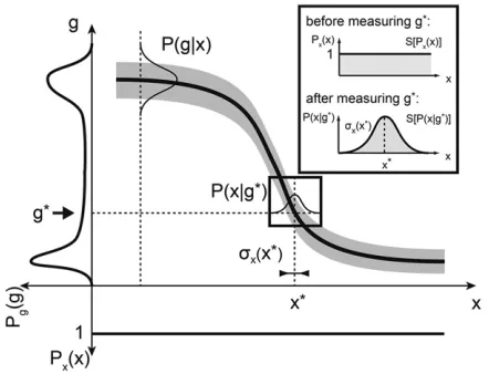 Figure 3 The mathematics of positional information and positional errorsposition,expression levellikely