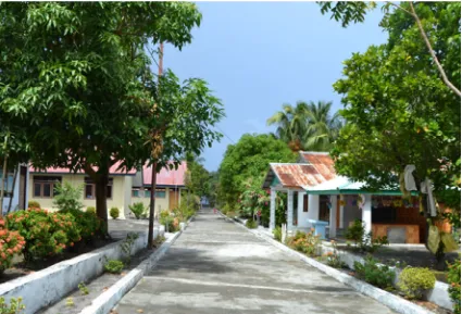 Fig. 9 The main street of Laingpatehi village in 2012—everything visible has been totally reconstructed by the community since the volcaniceruption of 2002