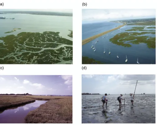 Figure 1. Some examples of low energy sedimentary environments: a) An estuarine fringing salt-marsh in Southampton Water, southern Britain, showing a meandering, dendri�c �dal creek network
