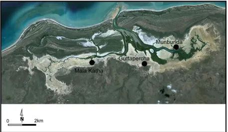 Figure 2. Yiinkan Embayment showing location of the three shell mound sites subject to this study (image sourced from Google™ earth)