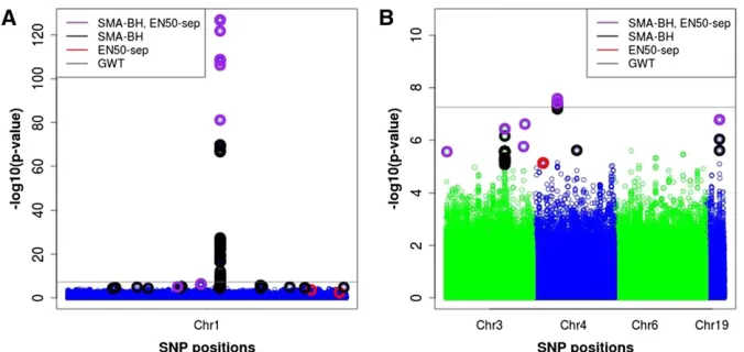 Figure 9 Plot ofaxis represents rawwhich SNPs were selected by SMA-GWT. Thechromosomes 1 (left), 3, 4, 6, and 19 (right)for the real data