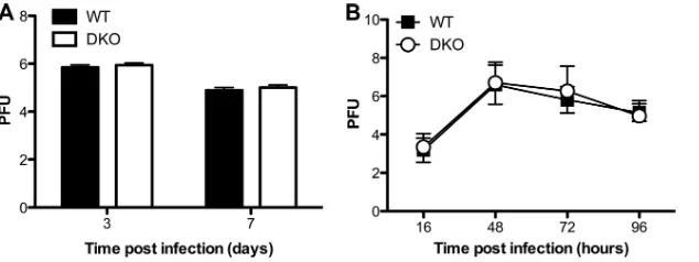 FIG 3 Characterization of immune responses in WT and DKO mice. (A and B) Mice were infected intranasally with 2,000 EIDDCs (TIP DCs; Ly6Cmice,histocompatibility complex class II negative), macrophages (Macs; CD11b50 of PR8 (WT mice, n � 15; DKO n � 16)
