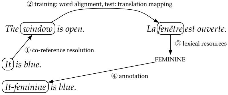 Figure 2: Overview of the process to annotate pronouns: The word itwindow is connected to the antecedent which was translated as fenˆetre, a feminine noun