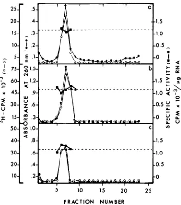 FIG. 4.ofMg2+-l08vitropI(0), ofpeak RNA saturation curves. Varying amounts 1 or 3 EMC viral RNA were added to 25-pi in protein-synthesizing assays which contained 2.5 S10-2