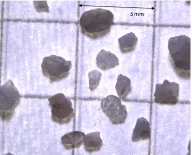 Figure 5. 25 : Optical micro-photograph of soil 2 