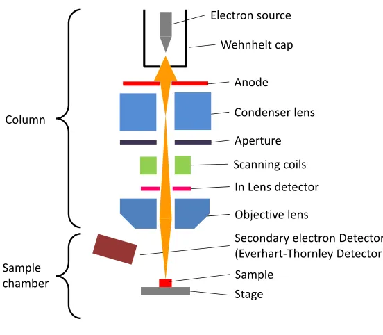 Figure 2.4: SEM Schematic
