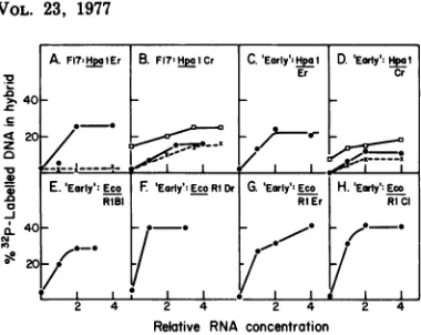 Table 1dimethylcient and Fig. 1, respectively.In this study, early mRNA was heated in 95% sulfoxide before its size was analyzed,a method that has been shown to achieve effi- disaggregation of viral RNA synthesizedin the nucleus of cells producing murine l