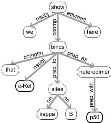 Figure 3: Dependency graph for the sentence “Weshow here that c-Rel binds to kappa B sites as het-erodimers with p50”