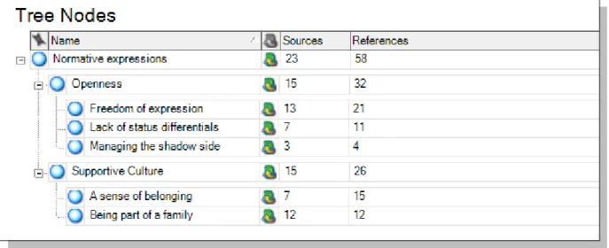 Table 4.5 – Axial code normative expressions, sub-categories and properties. 