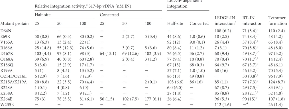 TABLE 3 Relative activities of HIV-1 IN proteins