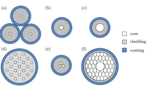 Fig. 1: Schematic representation of the suggested optical fiber types for SDM 