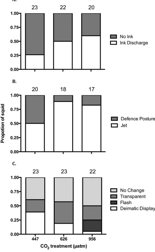 Fig. 4. Effect of elevated CO2 on squid response to startle stimulus.Proportion of squid that (a) produced ink as a defensive mechanism,(b) chose a defensive ‘‘anchor’’ posture or jet response, (c) displayed variousbody patterns in response to a visual sta