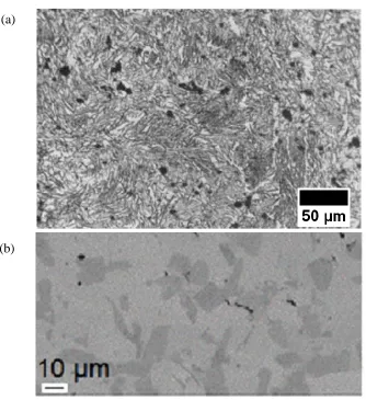 Fig. 2-20 SEM images of the microstructures of WC-W2C eutectoids produced via (a) 