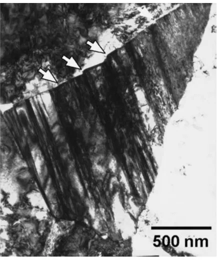 Fig. 2-21 TEM image of slip in WC grain deformed by radial turning testing[128] 