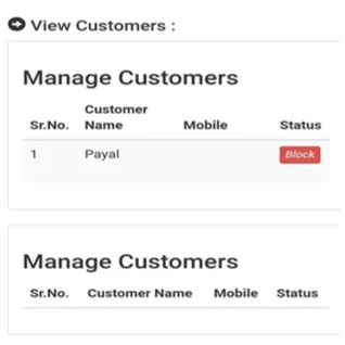 Fig. 2 Screen Shot of Registered Customers. 