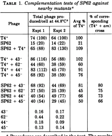 TABLE 2. Genetic mapping of SP62 relative to genes 42, 43, 62, and 44a