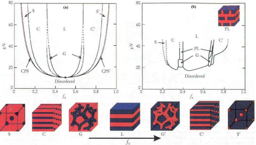 Figure 1.3. Mean-field representation of the equilibrium phase diagram for a bulk diblock copolymer system: (a) theoretical, (b) experimental.12  