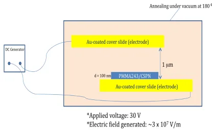 Figure 2.9 Schematic illustration of the electric field experimental setup. 