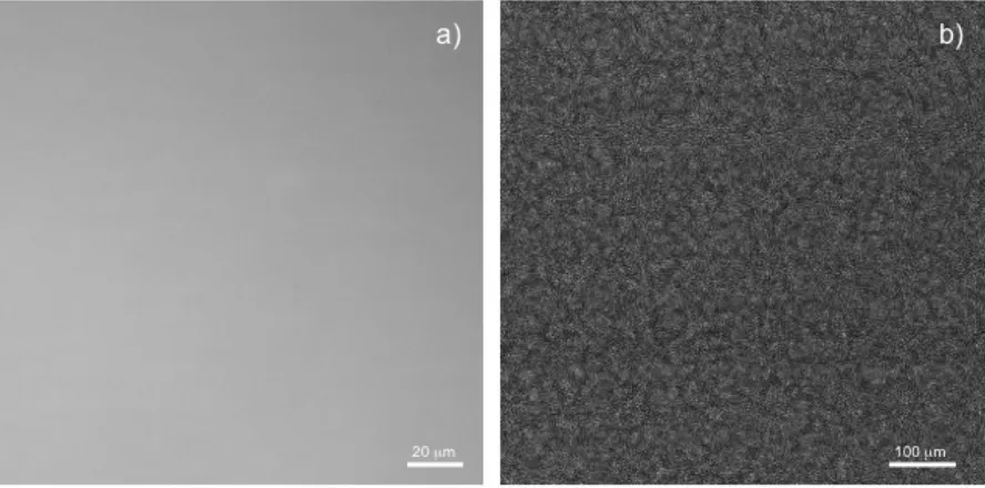 Figure 3.3 48 nm thick pure CSNP-R378 at 180°C for 80 h on silicon wafer (a) optical micrograph at 20x with DIC optics, (b) by scanning electron microscopy in field emission mode, 5 kV at 100,000x