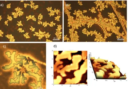 Figure 3.7 Optical micrographs of PS204/CSNG-R263(15wt%)/PMMA51 taken at 50x magnification with RGB optics