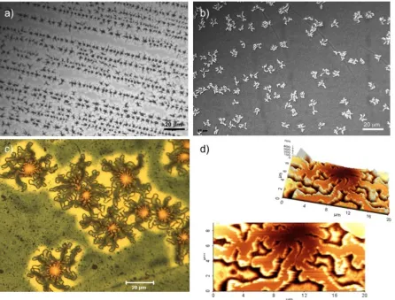 Figure 3.8  Optical micrographs of PS204/CSNG-R378 (15wt%)/PMMA51 at 190°C for 16 h taken at 20x magnification with DIC optics, and, then was immersed in acetic acid for  (b) 1 h and (c) 27 h, to remove the PMMA51 top layer