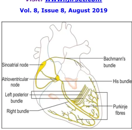 Fig. 1. Action potential of cardiac muscle ([Edited from [9]). 