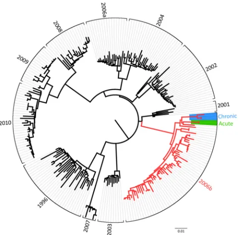 FIG 1 Phylogenetic comparison of the GII.4 ORF2 nucleotide sequence iso-