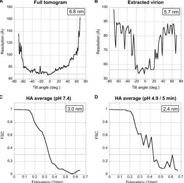 FIG 2 Resolution curves. (A and B) Variation of resolution with tilt angle, as measured by NLOO-2D for a full tomogram (A) and for an extracted virion (B).A cutoff threshold of 0.3 was used
