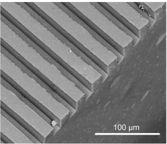 Figure 3.1.  Backscattered SEM image of TiO2-embedded (7.5 wt%) textured PDMS (20 µm) showing the linear grating with a square-wave profile and mark-space ratio of 1.0 (groove width = land area width)
