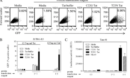 FIG 2 Biological activity of recombinant Tat proteins. Puriﬁed T23N (increased transactivation variant) and C22G (transactivation-negative) Tat proteins wereadded to the LTR/Tat-dependent reporter cell lines JLTRG-R5 (A and B) or Tzm-bl (C), in the presenc