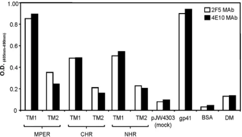 FIG 2 MPER-TM1 constructs are expressed on the cell surface and are recognized by MAb 2F5