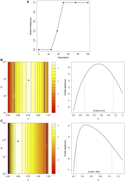 Figure 5 Data and results for the bacteriophage U1685C mutation. (A) Mutant frequency trajectory