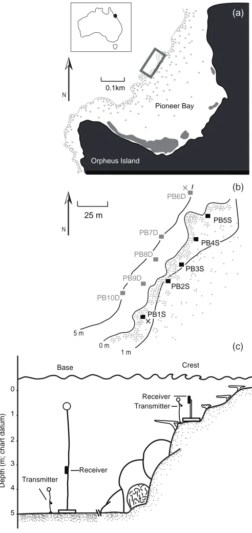 Fig. 2.1 Study site. Pioneer Bay, Orpheus Island, Great Barrier Reef. a) Map showing 