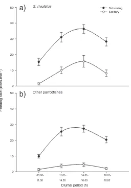 Fig. 3.4 Feeding rate (bites min-1; mean ± SE) of a) Scarus rivulatus and b) other 
