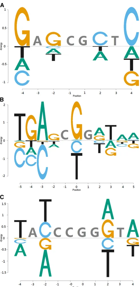 Figure 4 Energy Logos. (A) R2 library. (B) R3.2 (left half) and R3.1 (righthalf) libraries