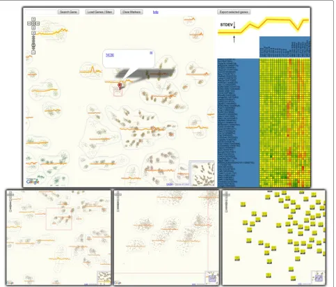 Figure 1 Co-expression map of 23k genes over 24 cell types of the B-cell family.client-side graphics: the map is at the center of the display while selecting genes on the map generates the heatmap on the right
