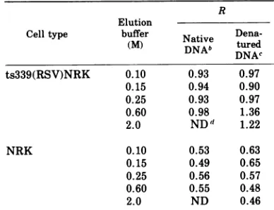 TABLE 3. Percentage of 35S remaining in labelingmedium after 1-h pulse of ts339(RSV)NRK cells temp0