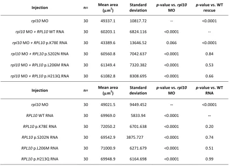 Table   S2         Brain   cross   sectional   areas,   means   and   p-­‐values   in   rpl10   models      
