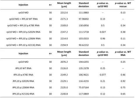 Table   S3         Body   length   measurements,   means   and   p-­‐values   in   rpl10   models   
