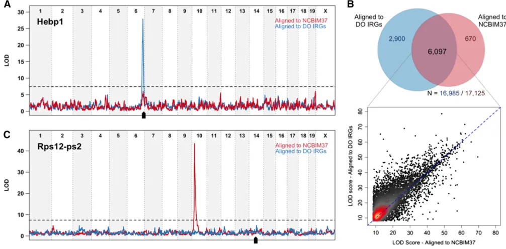 Figure 4 Alignment of Diversity Outbred mice to individualized transcriptomes (DO IRGs) reveals signito individualized transcriptomes (of spurious distant eQTL at pseudogenes