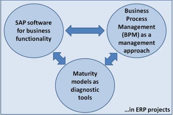 Figure 2.10: Technical terms in the context of ERP projects 